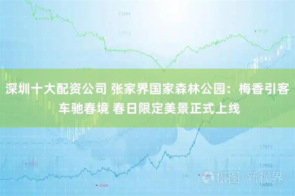 深圳十大配资公司 张家界国家森林公园：梅香引客 车驰春境 春日限定美景正式上线