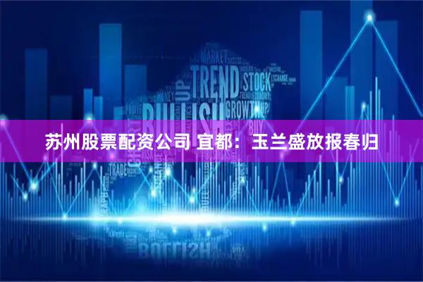 苏州股票配资公司 宜都：玉兰盛放报春归