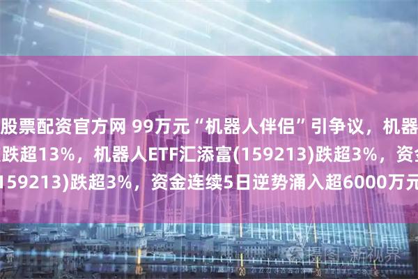 股票配资官方网 99万元“机器人伴侣”引争议，机器人板块重挫，绿的谐波跌超13%，机器人ETF汇添富(159213)跌超3%，资金连续5日逆势涌入超6000万元！